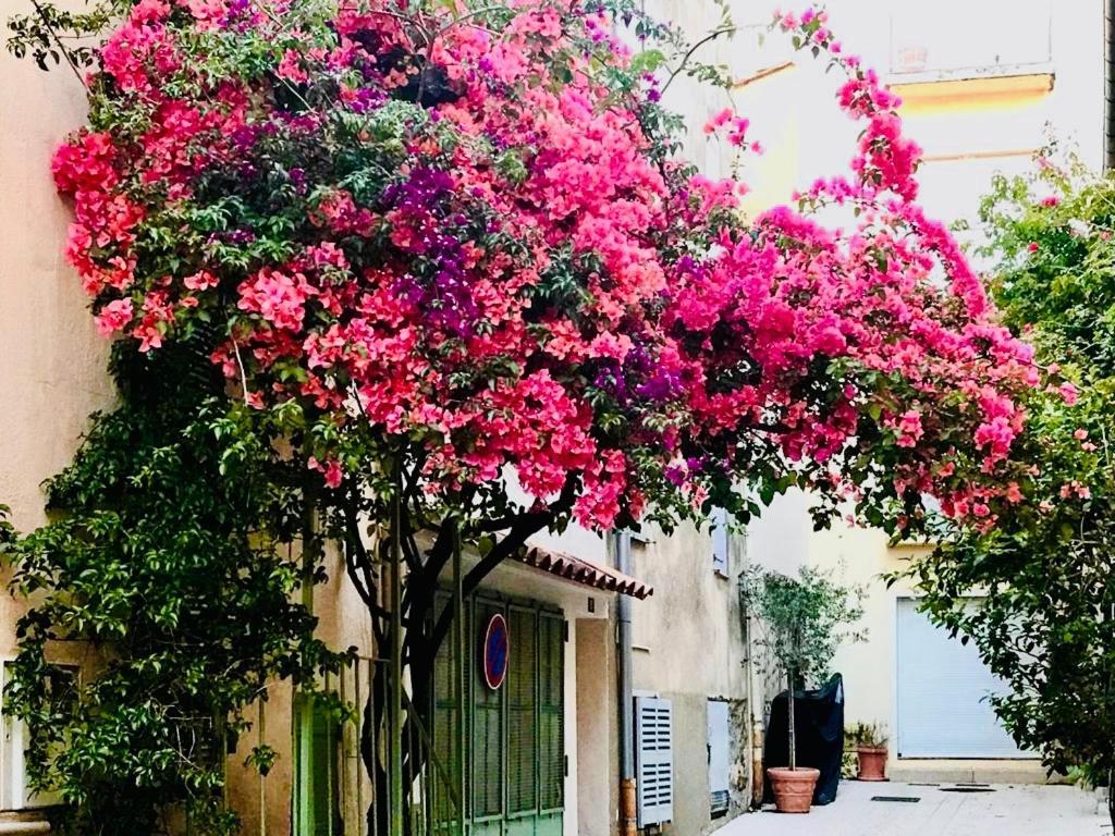 Appartement Le caillou à la Ponche St Tropez à Saint-Tropez Extérieur photo